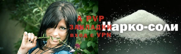 таблы Богданович