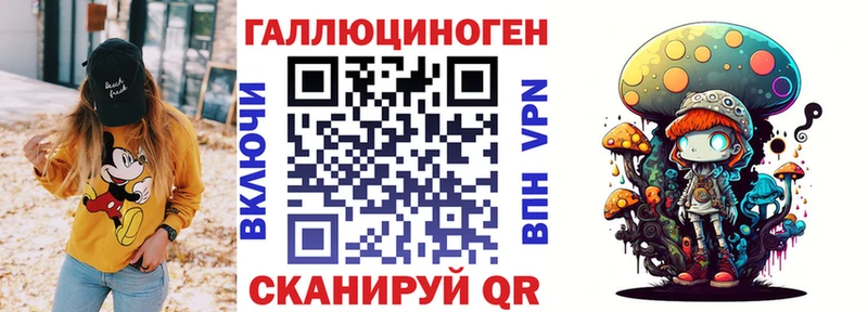 Купить закладки  Борзя  Галлюциногенные грибы GOLDEN TEACHER 